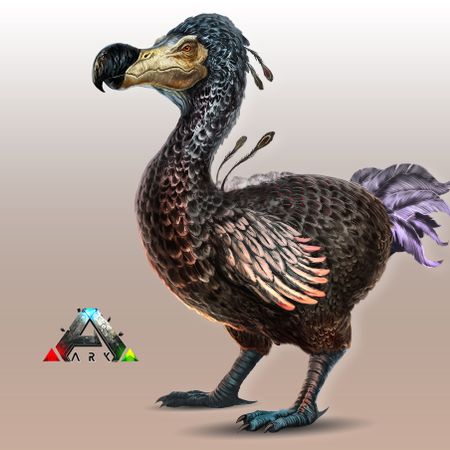 dodo_codo's Avatar